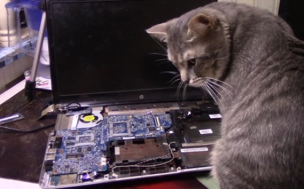 Системный ремонт компьютеров