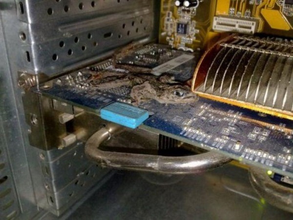 Ремонт ноутбуков в санкт петербурге на ветеранов